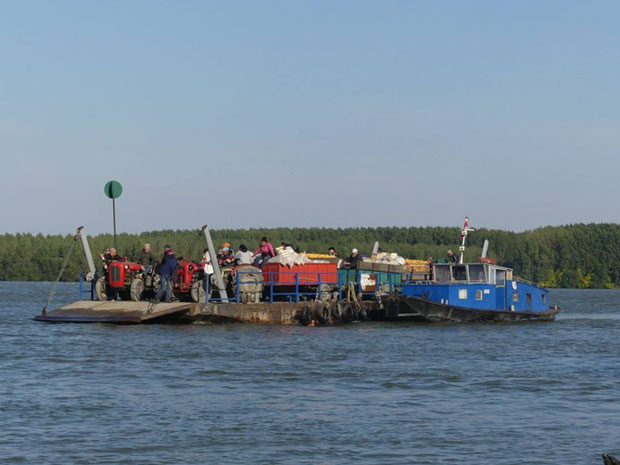 Скела поново иде Дунавом, Грочани могу у воћњаке 